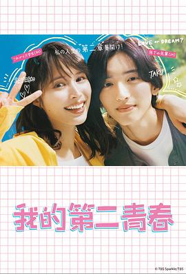 洛阳正规的新站seo优化公司